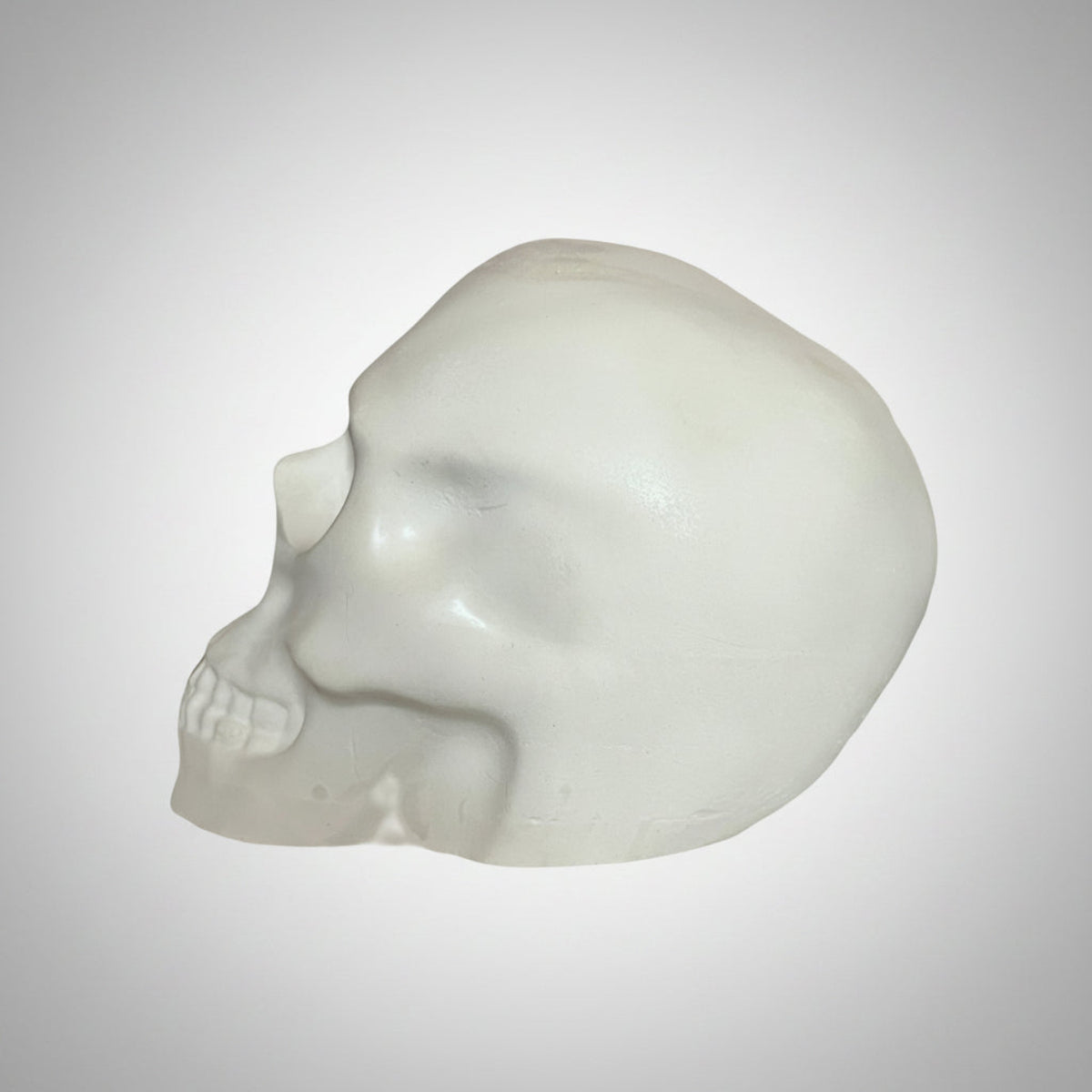 Large Skull Sculptures - Left side view of a large white ceramic skull sculpture 