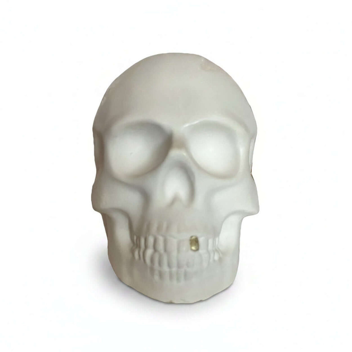 Large Skull Sculptures - A large white ceramic skull sculpture with a gold coloured tooth