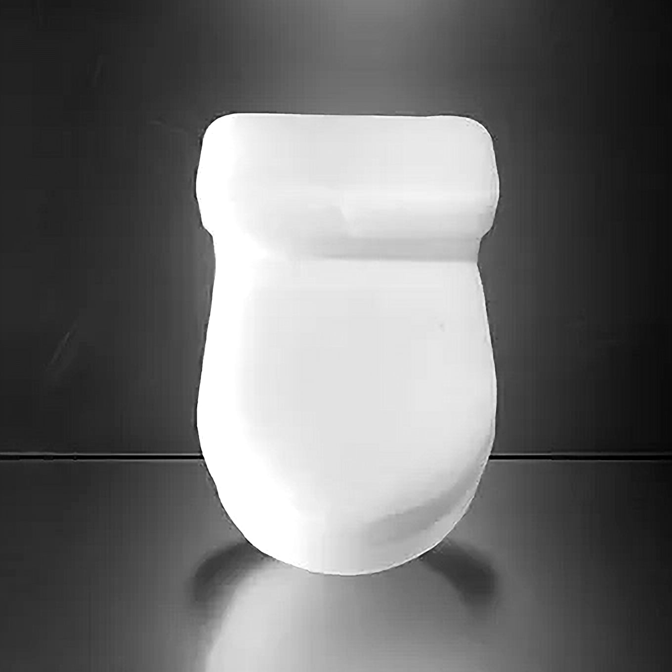 Novelty Toilet Home Decor Ornament Gifts image 6