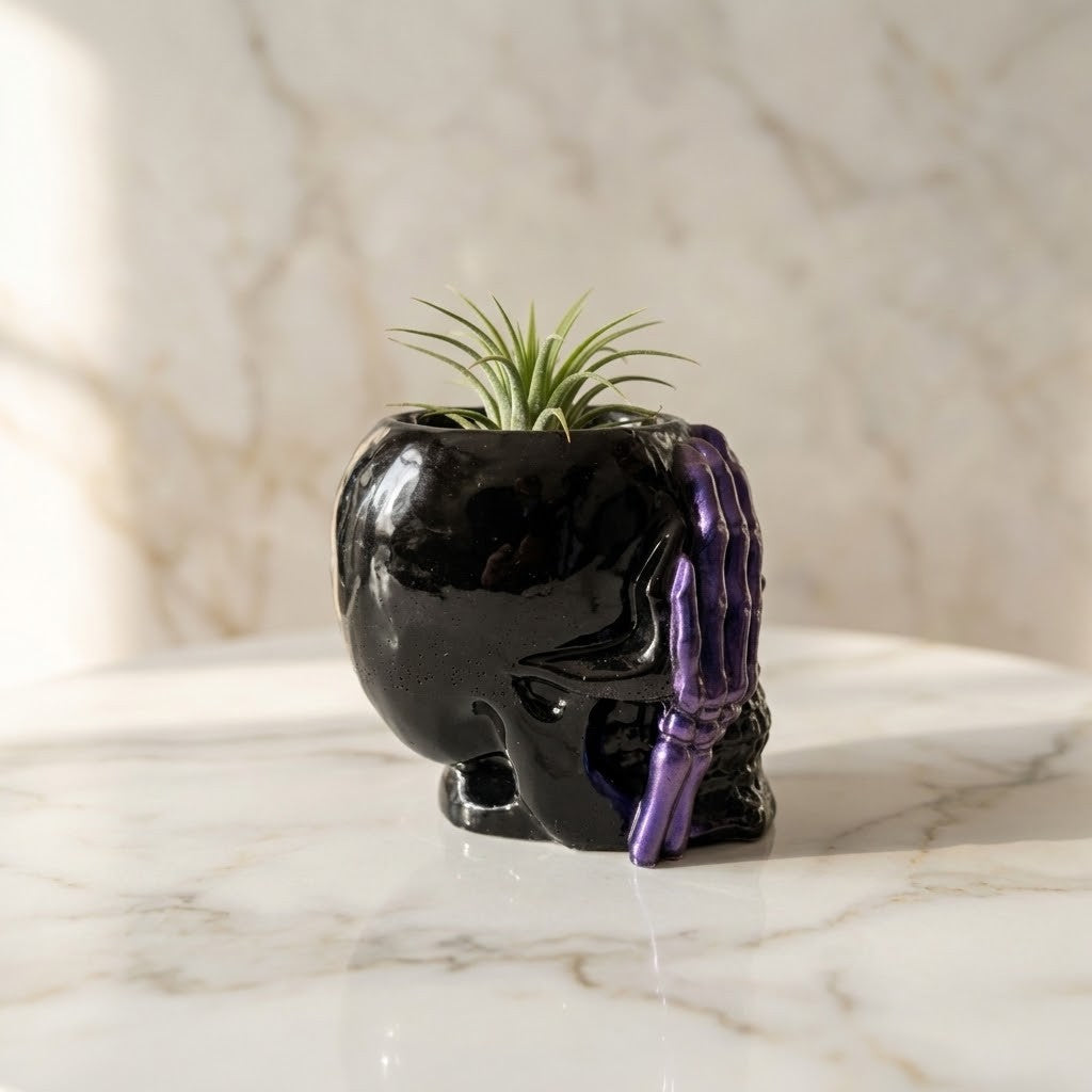 Resin Skull Pots - A glossy black skull-shaped planter with a purple skeletal hand detail on the side, holding a small green air plant, set on a white marble surface against a marble wall.